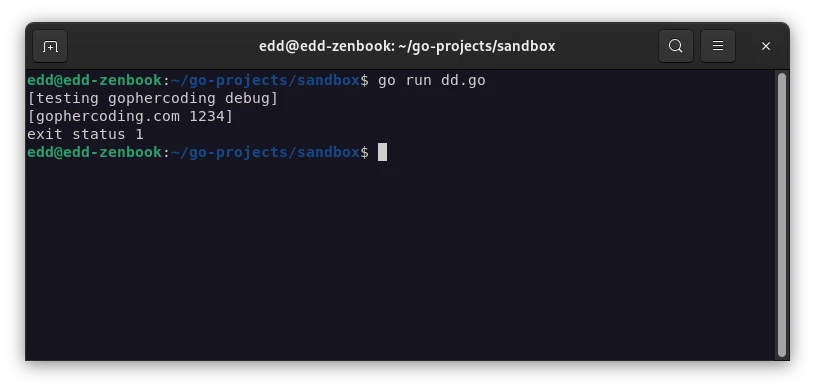 dd in golang